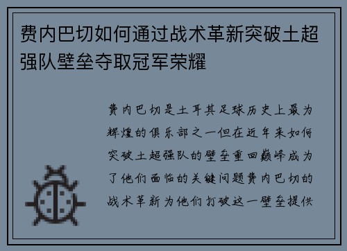 费内巴切如何通过战术革新突破土超强队壁垒夺取冠军荣耀